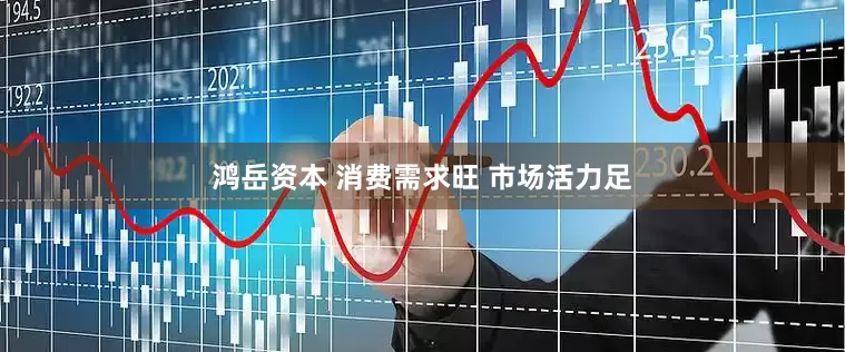 鸿岳资本 消费需求旺 市场活力足