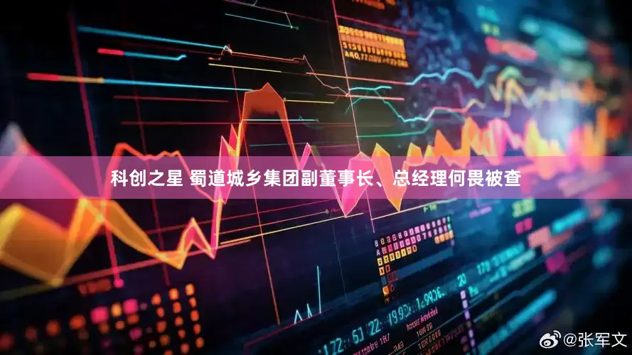 科创之星 蜀道城乡集团副董事长、总经理何畏被查