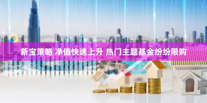 新宝策略 净值快速上升 热门主题基金纷纷限购